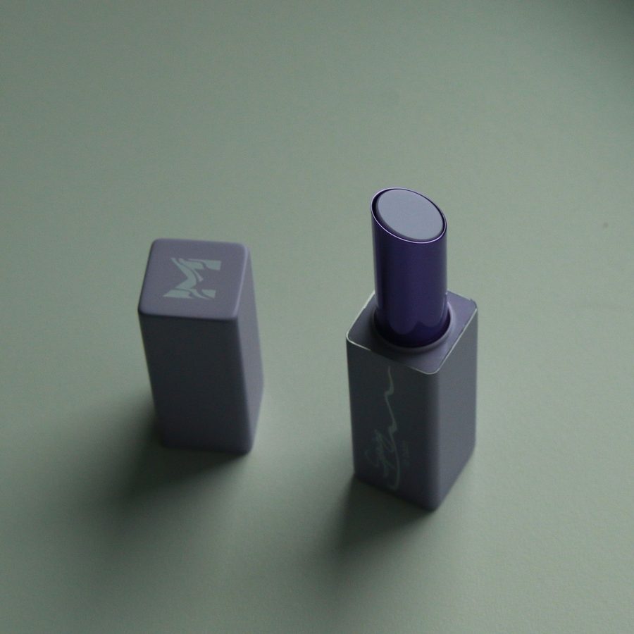 Вид механизма