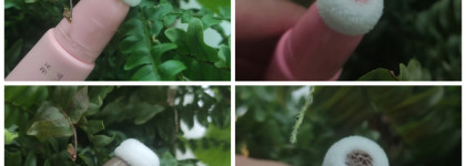 Кремовая коррекция с линейкой Vivienne Sabo Courage. Румяна 01 Rose и контуринг 01 Taupe