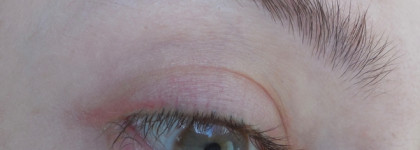 Палитра месяца: Burnished Lilac