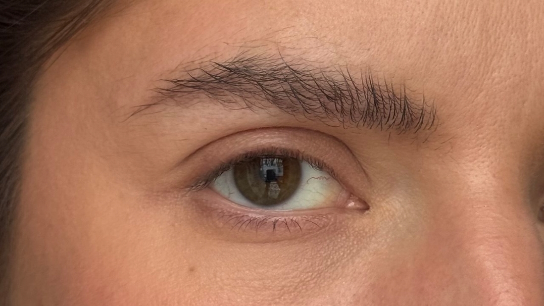 спрятались