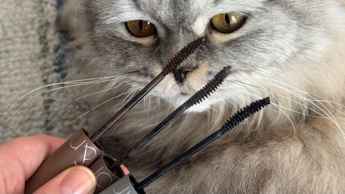 слева направо: коричневая/серая/черная.