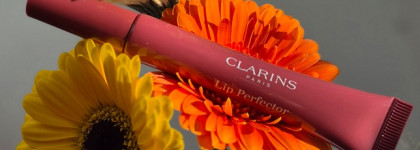 Тот самый блеск дочери маминой подруги: Clarins lip perfector в оттенке 17