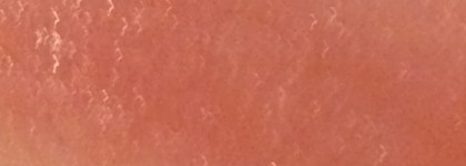 Помада с полупрозрачной текстурой Perfect Rouge Tender Sheer от Shiseido