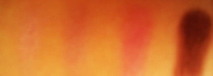 Спешу похвастаться моим новинками в косметичке