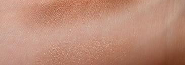 Christian Dior  Двухцветные тени для век 2 Couleurs