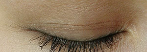 Chanel - La Ligne De Chanel